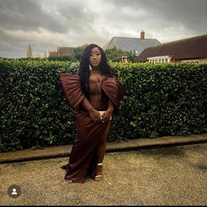 Ashford By Sadiq structured Brown dress